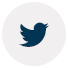 twitter-footer-icon